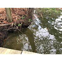 York/Poquoson King Tide image